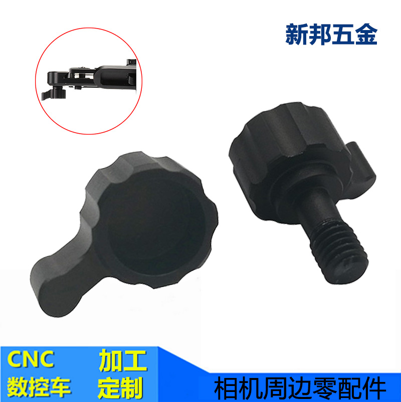 �ȶ��������š��˿